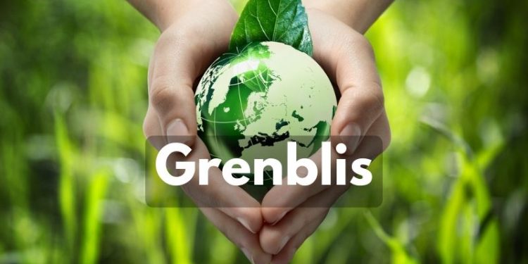 Grenblis