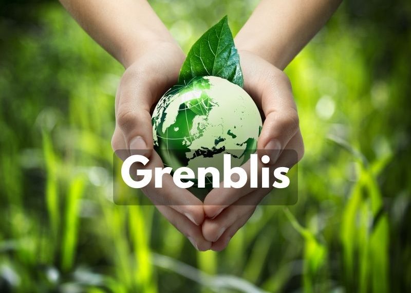 Grenblis