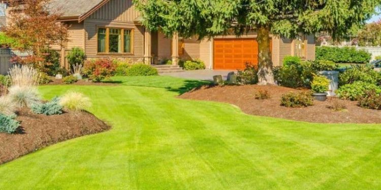 Greener Grass Landscaping
