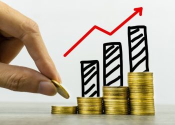 Pedrovazpaulo Wealth Investment