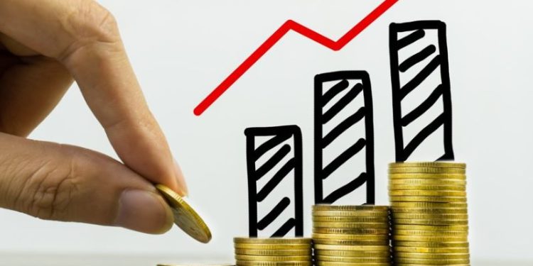 Pedrovazpaulo Wealth Investment