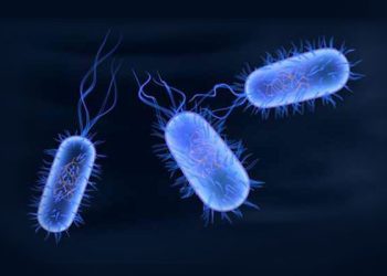 7 Most Common Waterborne Diseases